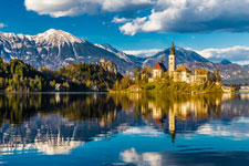 BLED1