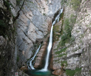 SlapSavica2